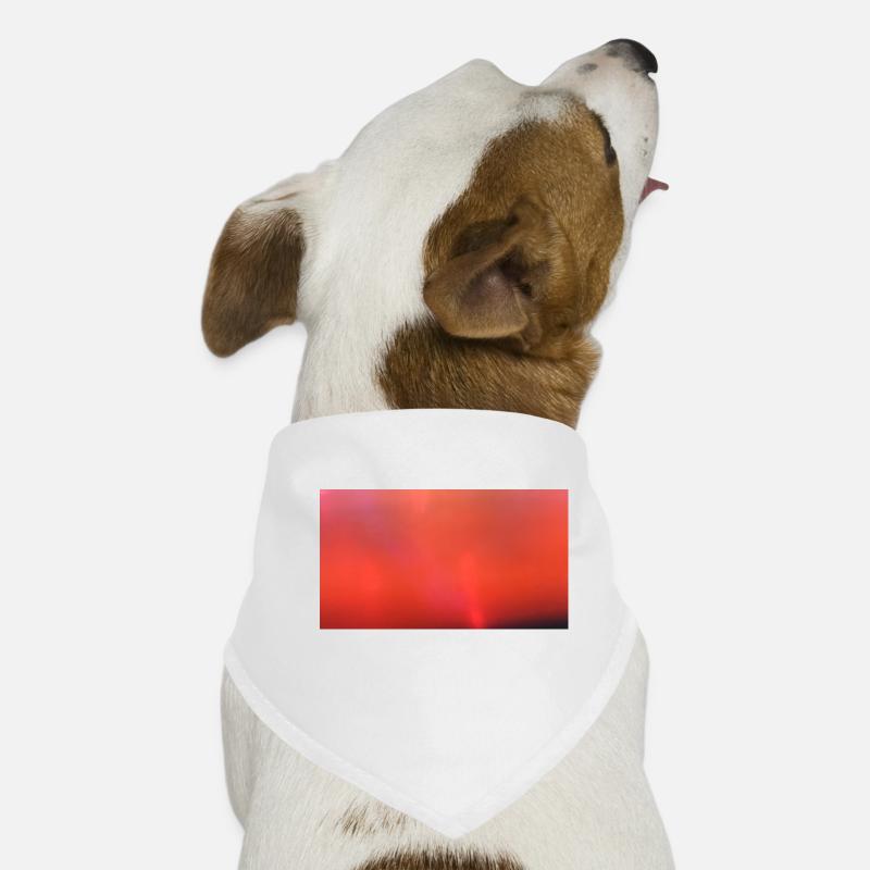 Firefighter Edition 126 Dog Bandana