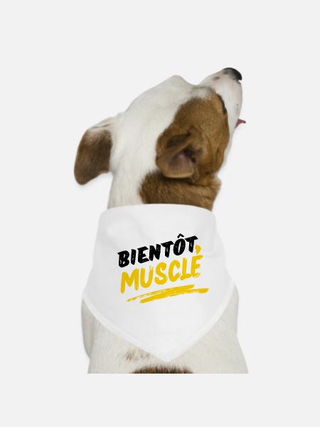 Energetic Muscular Design in Urban Style - Dog Bandana - white - Front
