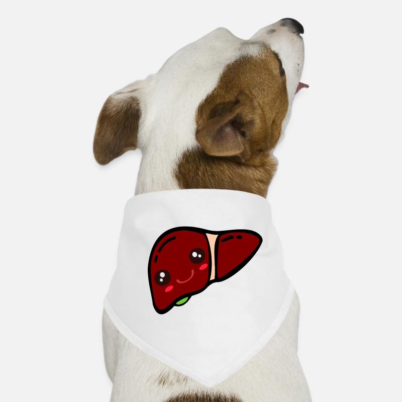 Gallbladder Liver Dog Bandana