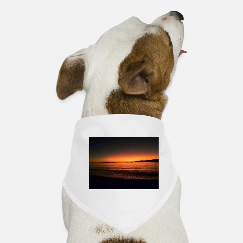 Seehaus. B Sea Dog Bandana