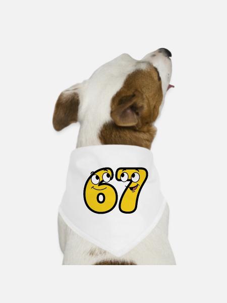Lustige Gelbe Cartoon Meme Zahl 67 - Hunde-Bandana - Weiß - Vorne