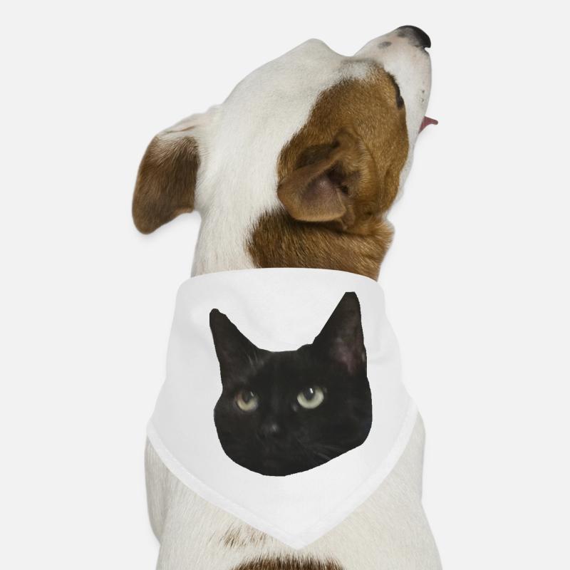 Katzenkopf schwarz Hunde-Bandana