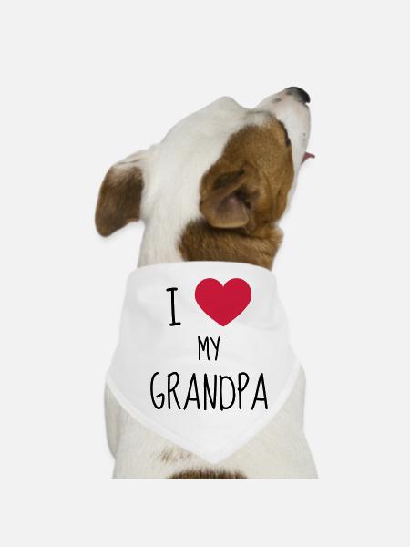 Papy Papi Grand-Père Retraite famille - Bandana pour chien - blanc - Devant