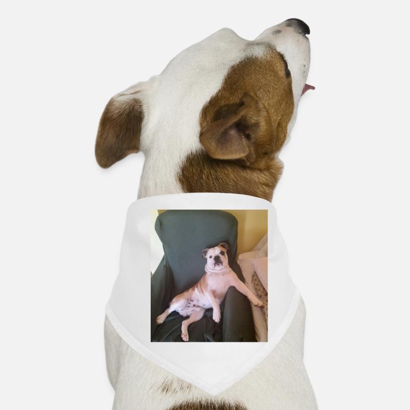 Dog Bandana