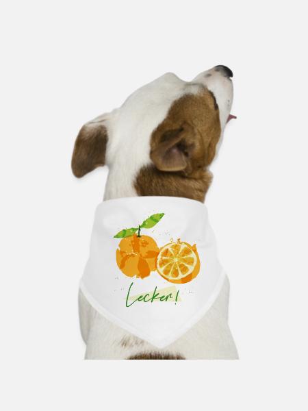 Orange Obst - Hunde-Bandana - Weiß - Vorne