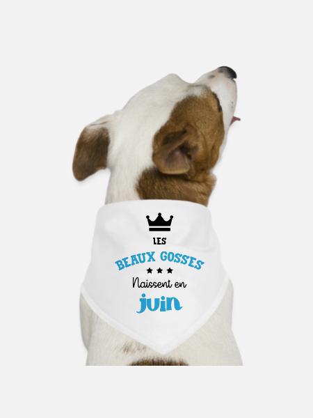 Cadeau naissance bébé garçon Juin Beaux Gosses BG - Bandana pour chien - blanc - Devant