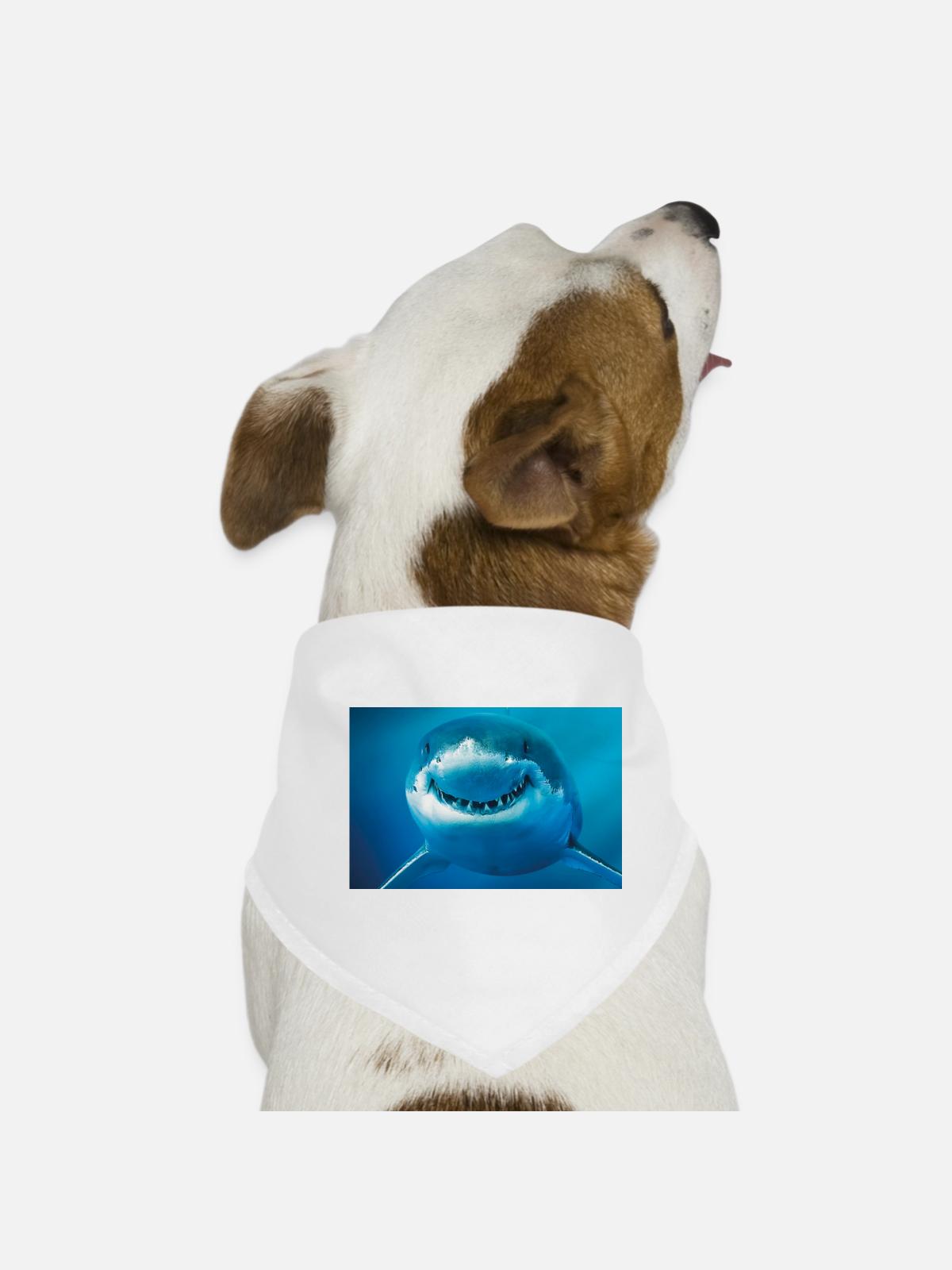 Smiling Shark Underwater - Dog Bandana - white - Front