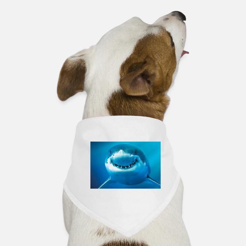 Smiling Shark Underwater Dog Bandana