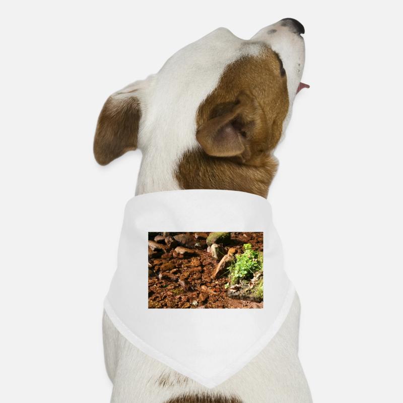 Kleiner Waldbach am Stein Hunde-Bandana