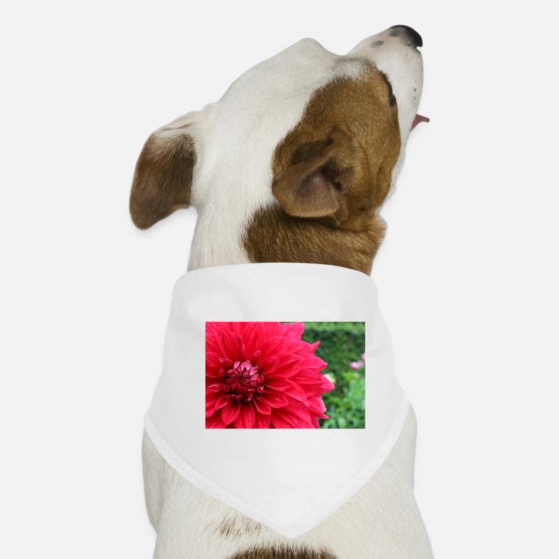 Dahlia Fleur Rouge, Fleur Bandana pour chien