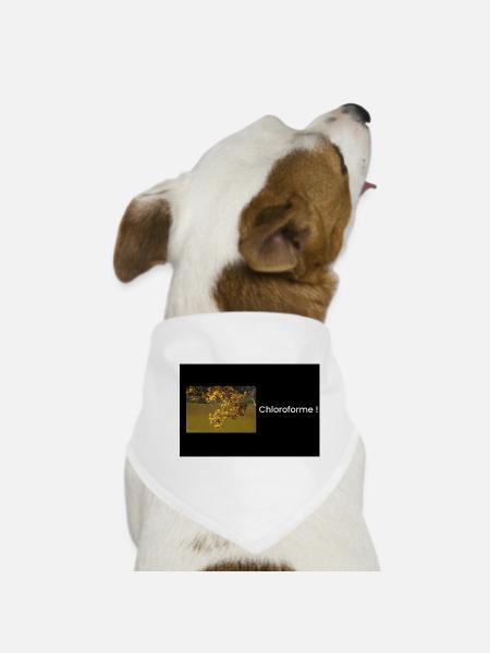 Streetwear Chloroforme - Bandana pour chien - blanc - Devant