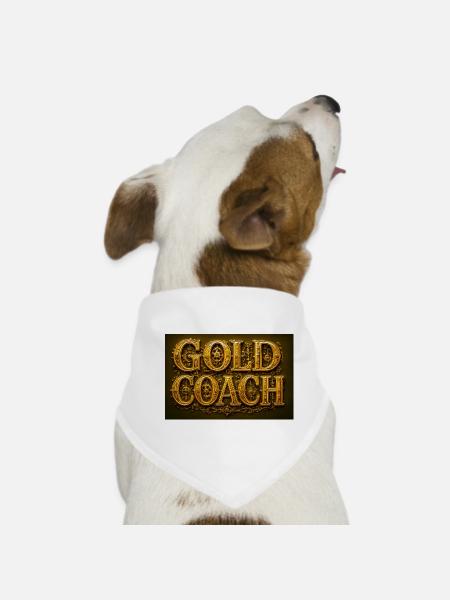 GeleID-Set im Steampunk-Stil - Hunde-Bandana - Weiß - Vorne