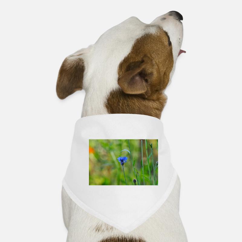 Cornflower Dog Bandana