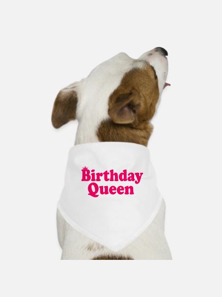 Birthday queen - Dog Bandana - white