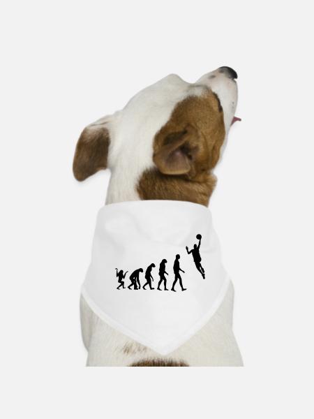 Basketball - Basket Ball - Game - Sport - Player - Hunde-Bandana - Weiß - Vorne