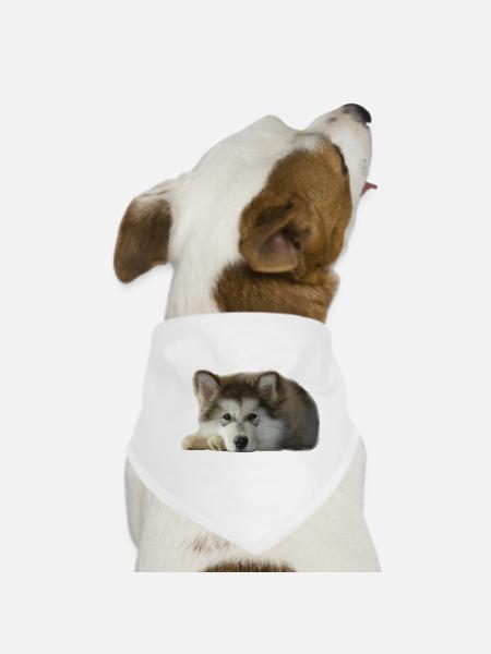 Chiot malamute Maia - Bandana pour chien - blanc - Devant