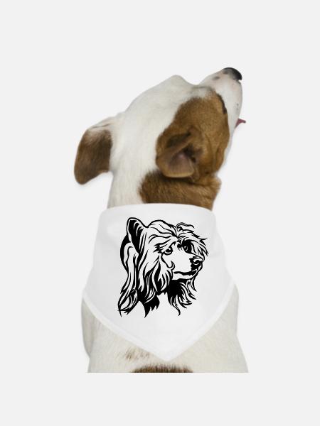 Tête de chien à crête chinoise - Bandana pour chien - blanc - Devant