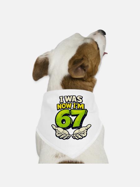 67 Six Seven I Was 6 Now 7 Birthday - Dog Bandana - white - Front