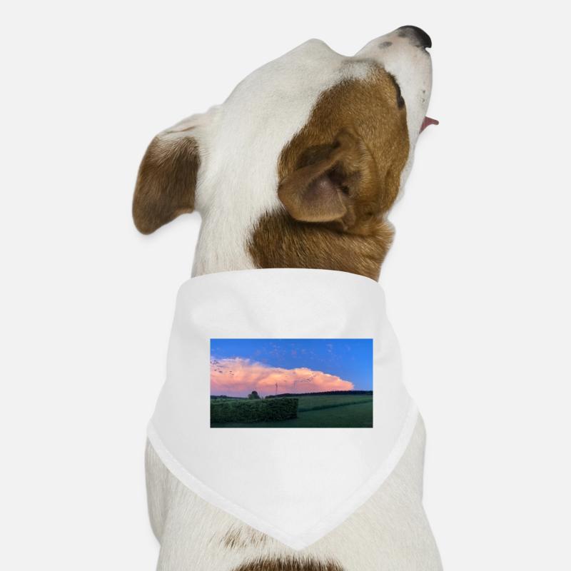 Wolkenbild Hunde-Bandana