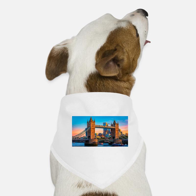 Impression du coucher de soleil du pont de la tour Bandana pour chien