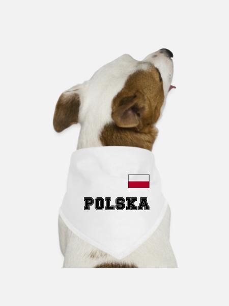 Polen Trikot Look – POLSKA mit Fahne bzw. Flagge - Hunde-Bandana - Weiß - Vorne