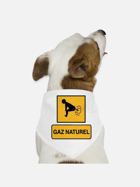 Erdgas - Hunde-Bandana - Weiß - Vorne