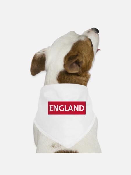 England Flag with Patriotic Text - Dog Bandana - white - Front