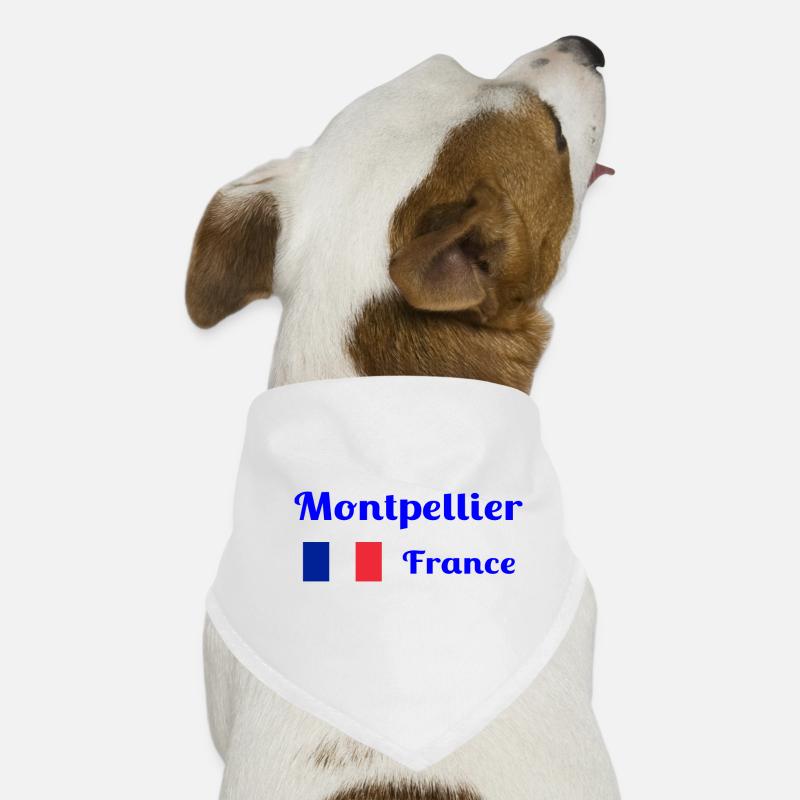 Montpellier, Frankreich - Stilvolle Drucke Hunde-Bandana