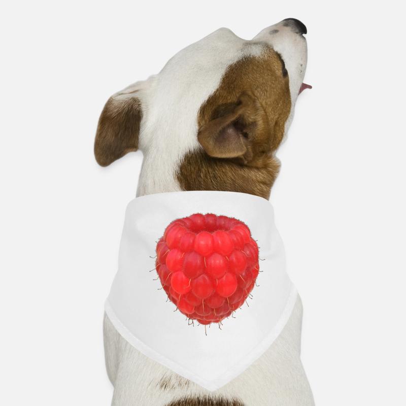 Modèle de grappe de framboises Bandana pour chien