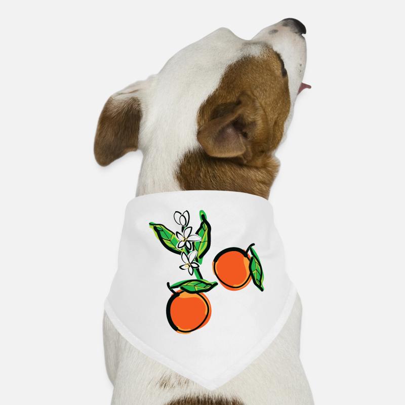 Mandarin Orange Früchte Hunde-Bandana