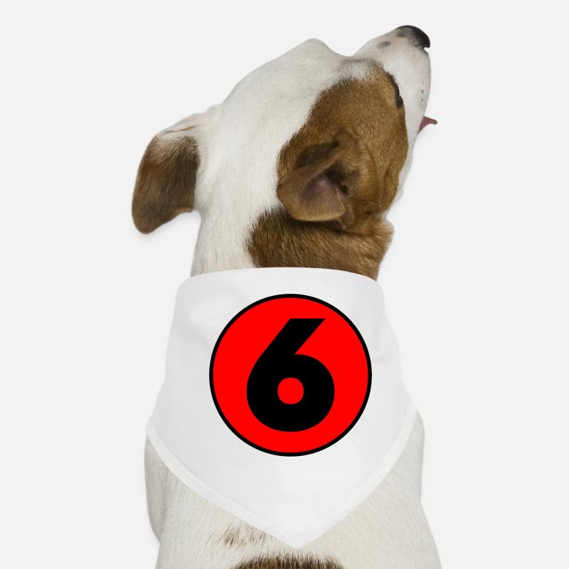 Birthday Birthday 6 Dog Bandana