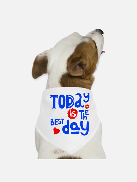 Today is the best Day - Dog Bandana - white - Front