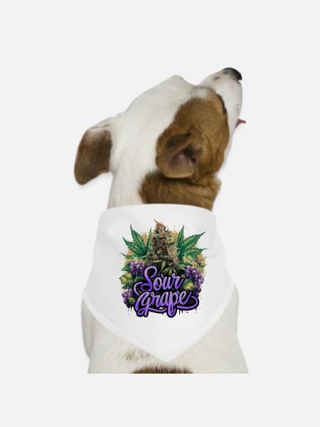 Aigre - Bandana pour chien - blanc - Devant