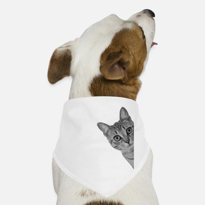 Cute cat kitten Dog Bandana