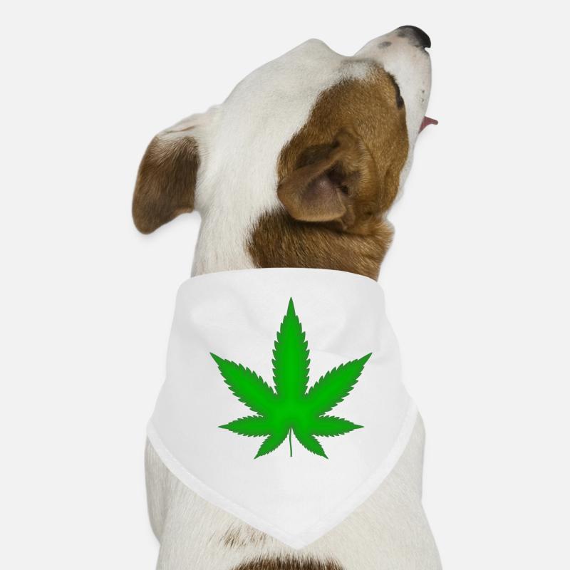 Bandana pour chien