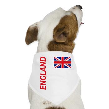 Birmingham - Hunde-Bandana - Weiß - Vorne