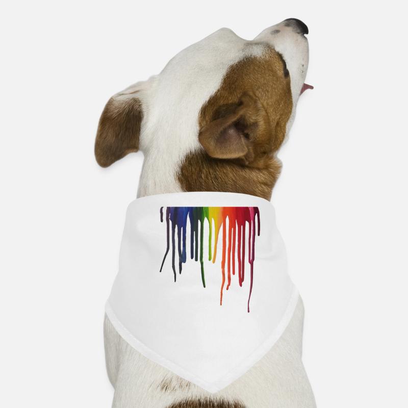 Faden rainbow Dog Bandana