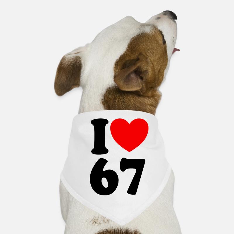 Fun 67 Number 6-7 I Heart 6 7 Six Seven Dog Bandana