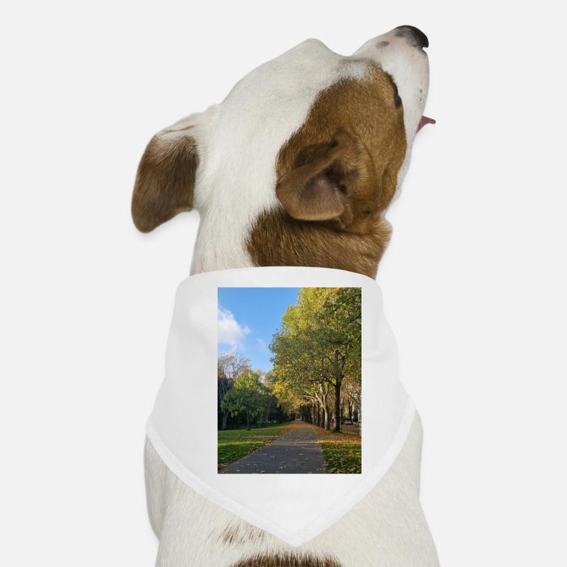 Autumn path through Lauballee Dog Bandana