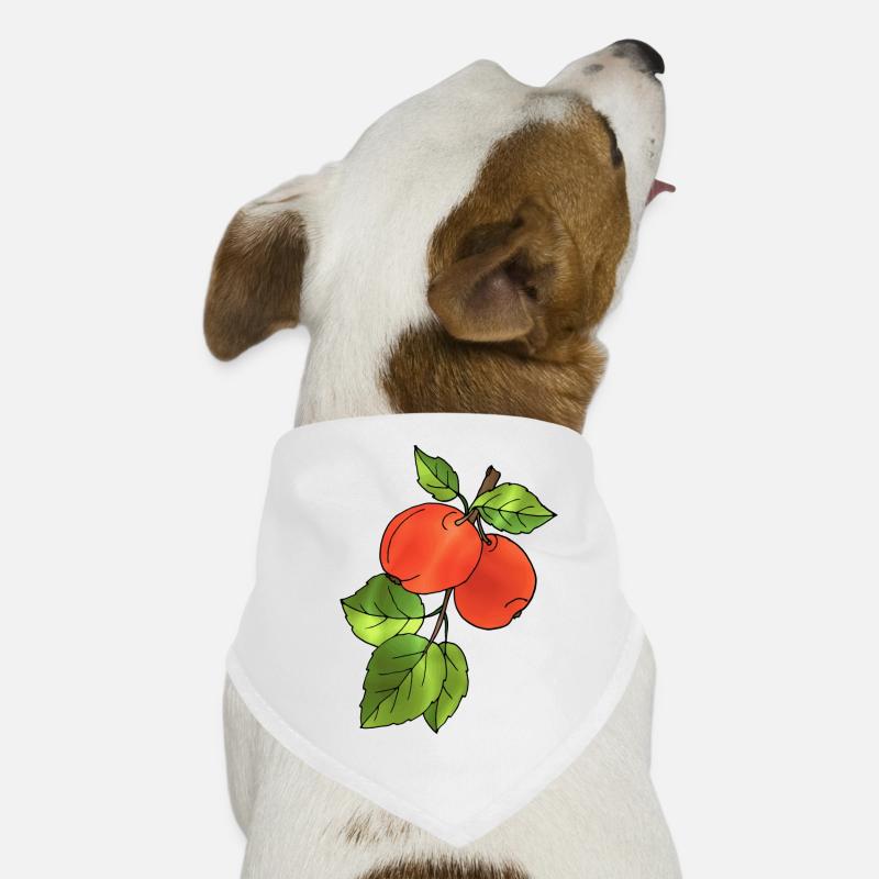 Pommes Bandana pour chien
