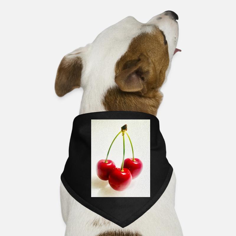 Cherry Dog Bandana