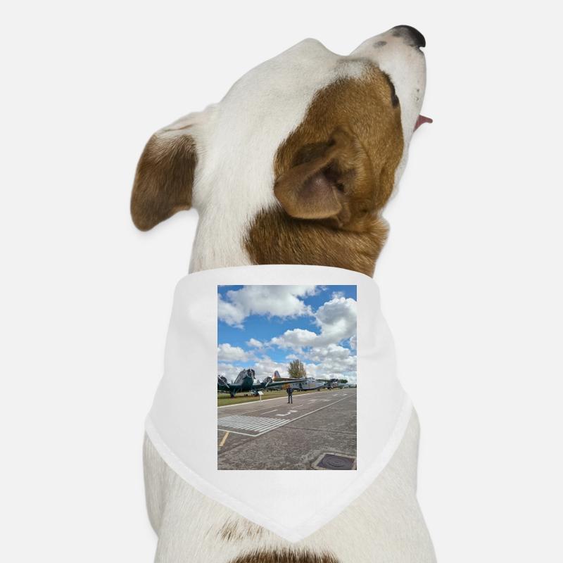 Classic Aviation on Display Dog Bandana