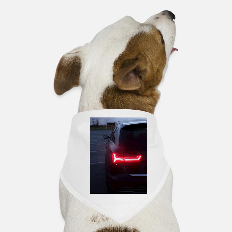 A6 Avant tail lights Hunde-Bandana
