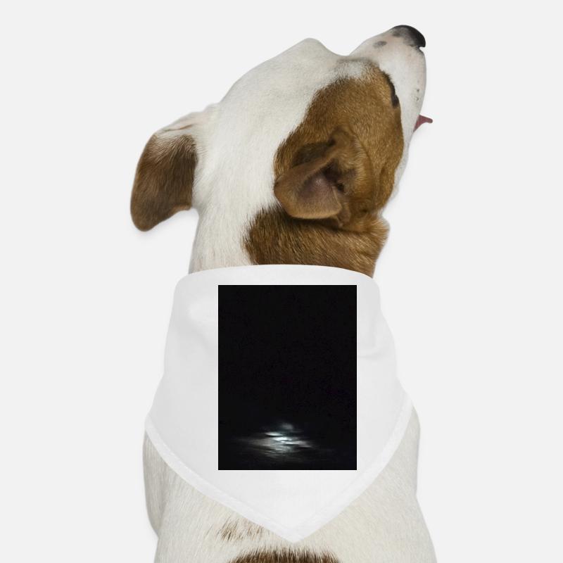 Night Clouds Light Dark Sky Dog Bandana