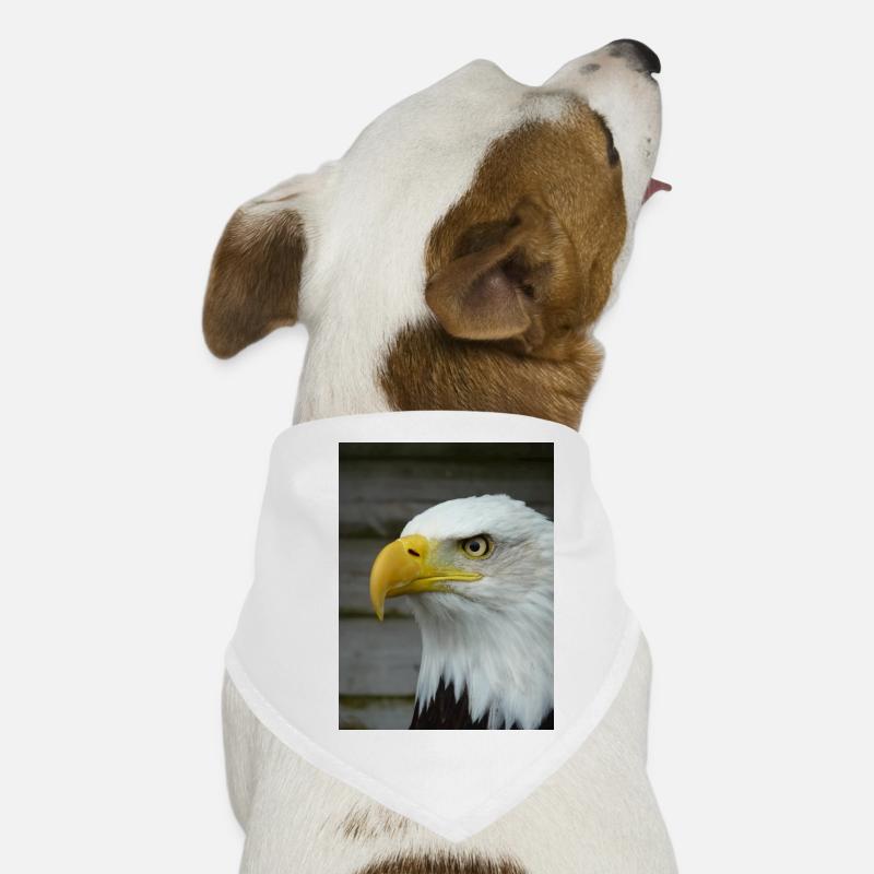 American Bald Eagle Dog Bandana