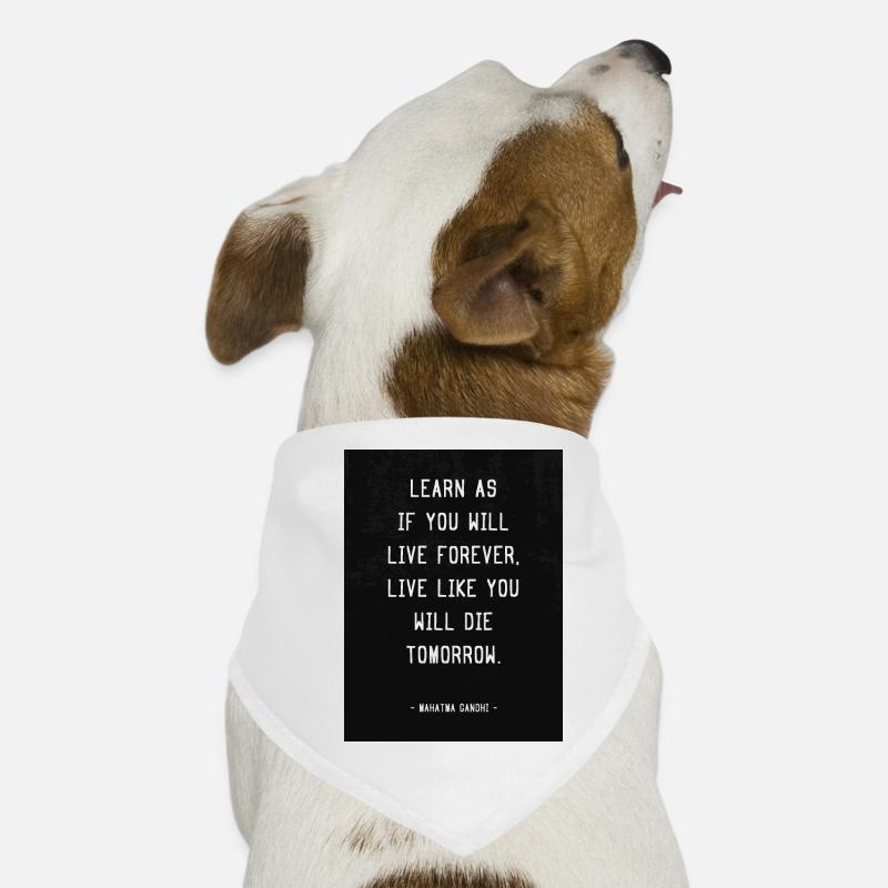 Live like you will die tomorow! Hunde-Bandana