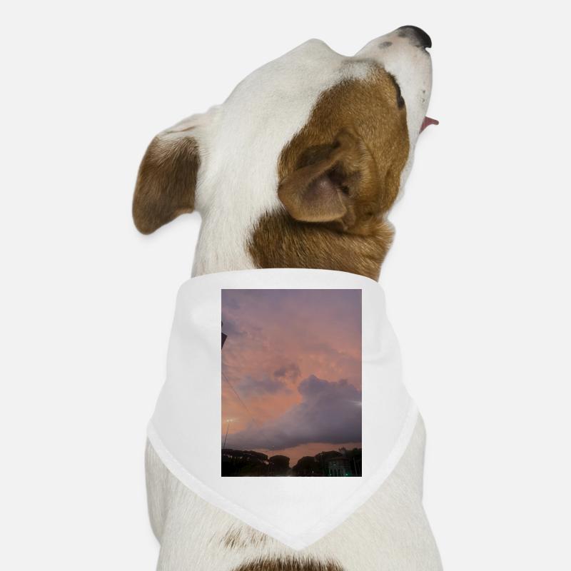 Coucher de soleil Bandana pour chien