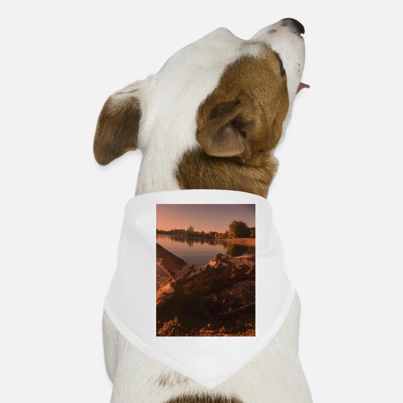 Nature,Arbre,Lac,Soirée Bandana pour chien