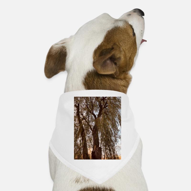 Tree Sky Brown Autumn Dog Bandana