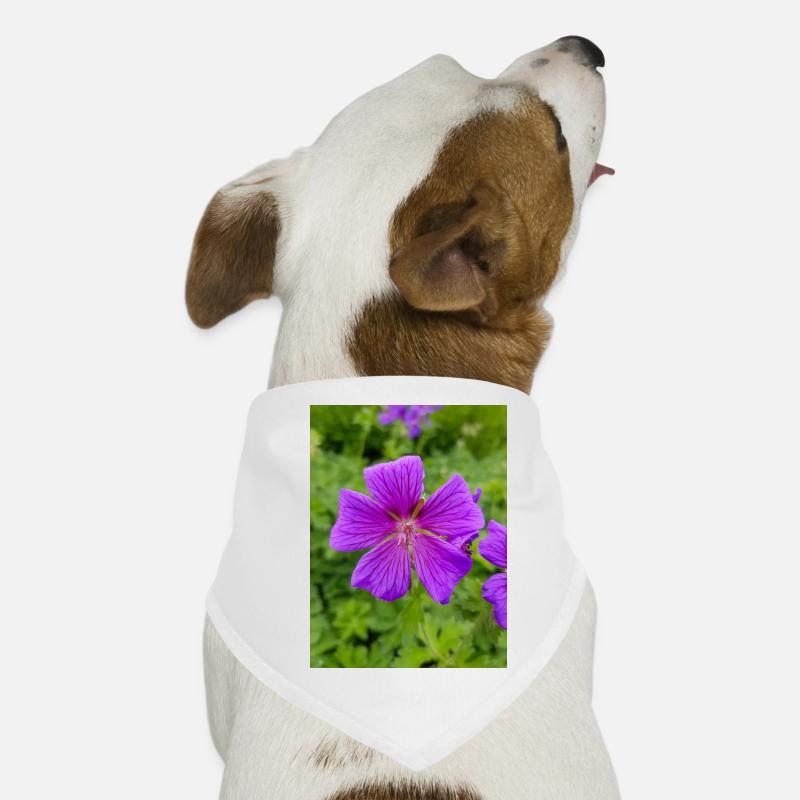 Geranium Brookside en allemand Storchschnäbel Bandana pour chien